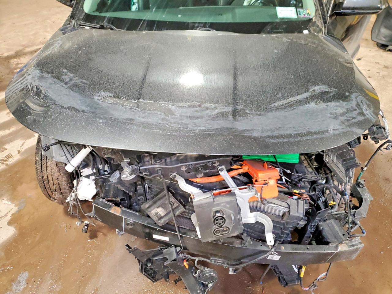 2023 KIA Niro ev