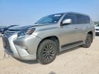 2022 Lexus Gx 460 Base