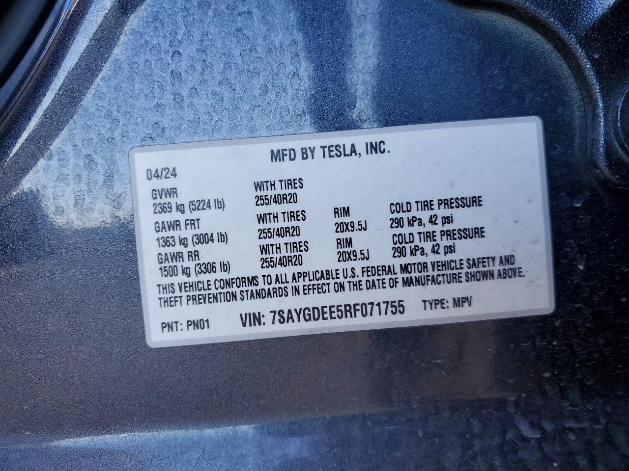 2024 Tesla Model y
