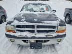 2004 Dodge Dakota Sport