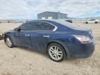 2014 Nissan Maxima s