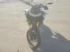 2025 Triumph Tiger 1200 Rally PRO