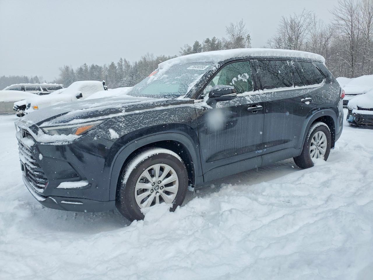 2024 Toyota Grand Highlander xle