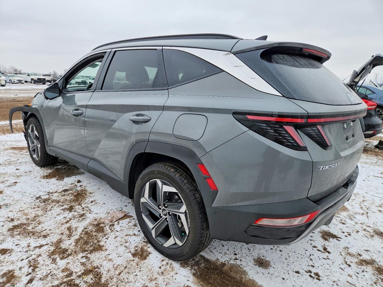 2024 Hyundai Tucson Limited