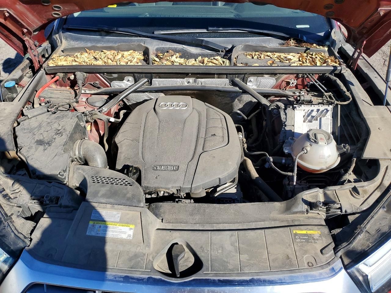 2019 Audi Q5 Premium Plus