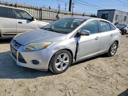 Ford Focus salvage cars for sale: 2013 Ford Focus se