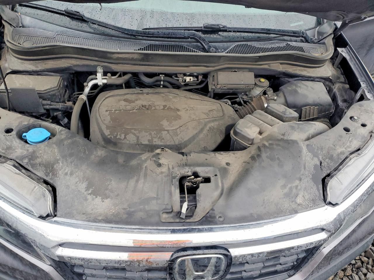 2019 Honda Ridgeline rtl