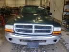 2001 Dodge Dakota Quattro