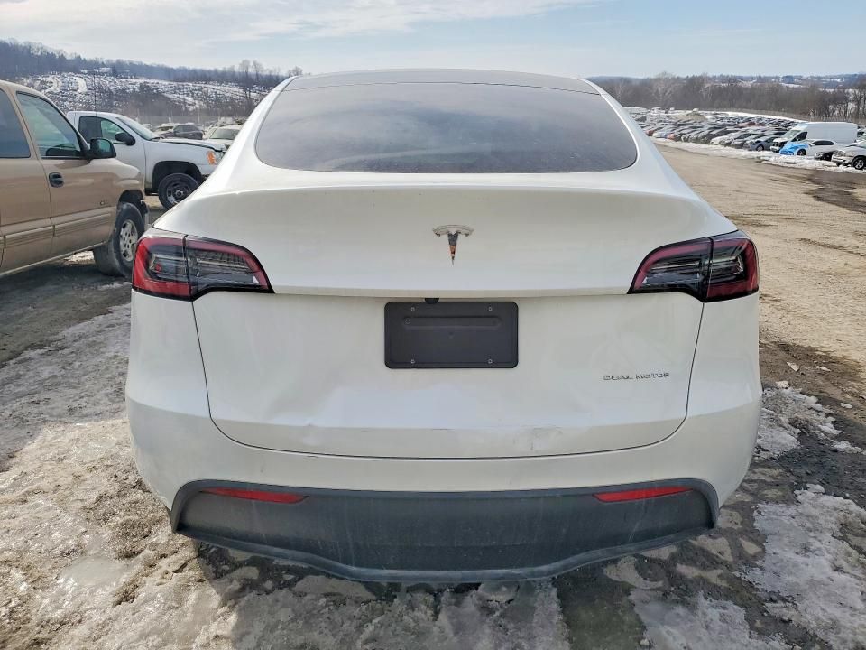 2025 Tesla Model y
