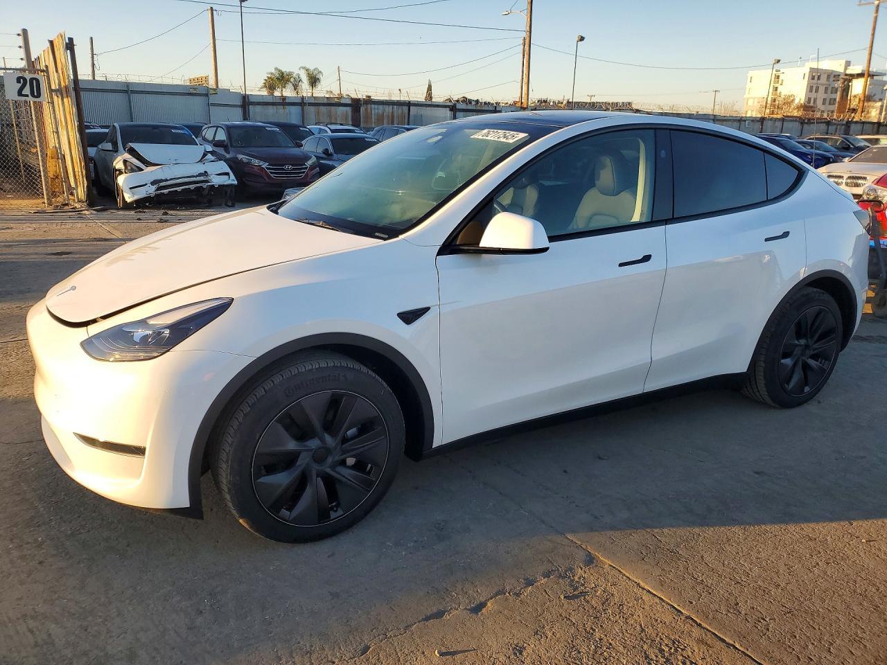 2025 Tesla Model y