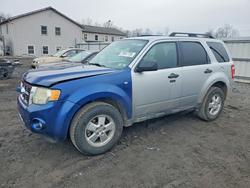 2011 Ford Escape xlt en venta en York Haven, PA
