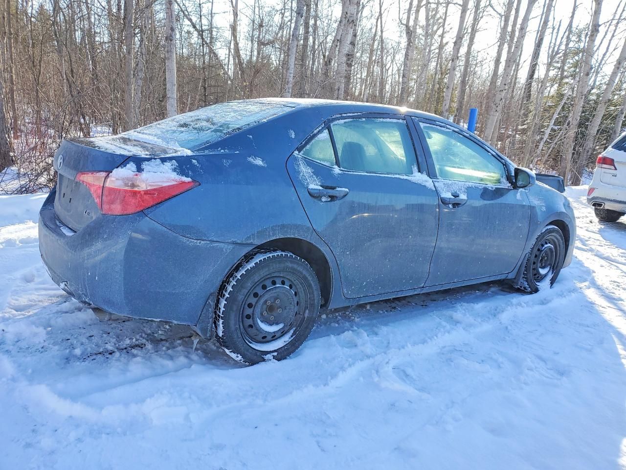 2019 Toyota Corolla l