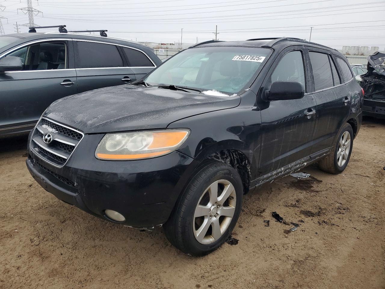 2009 Hyundai Santa fe se