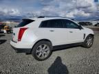 2013 Cadillac Srx Performance Collection