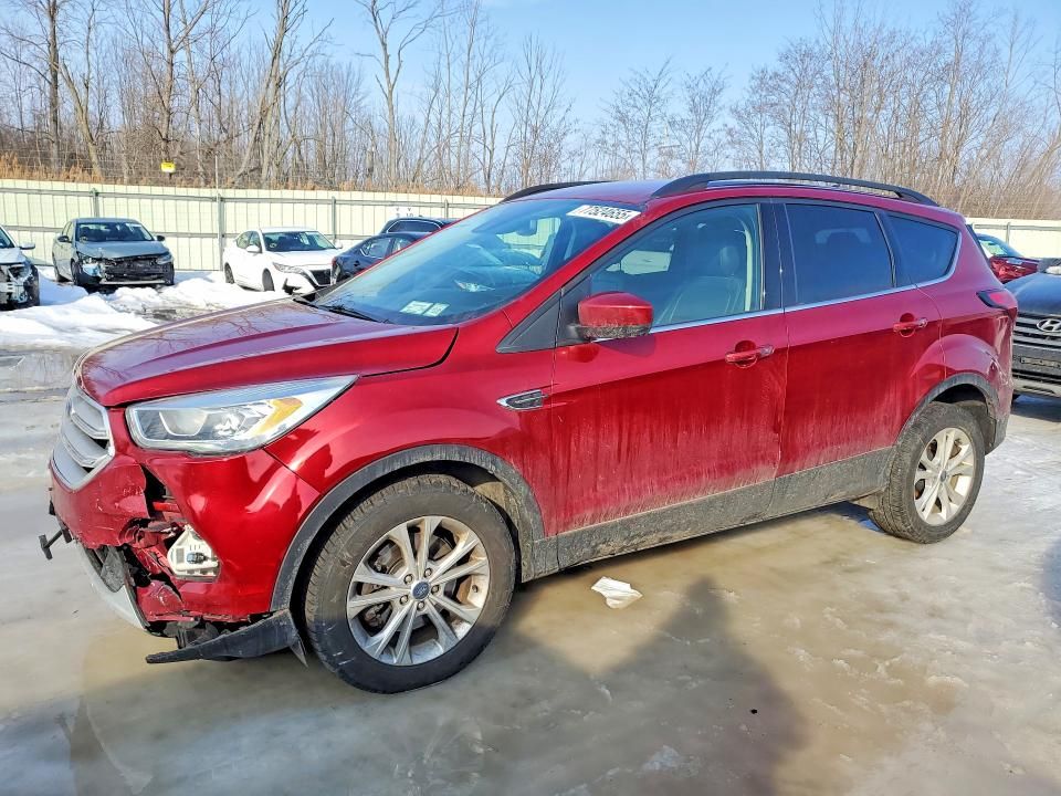 2019 Ford Escape sel