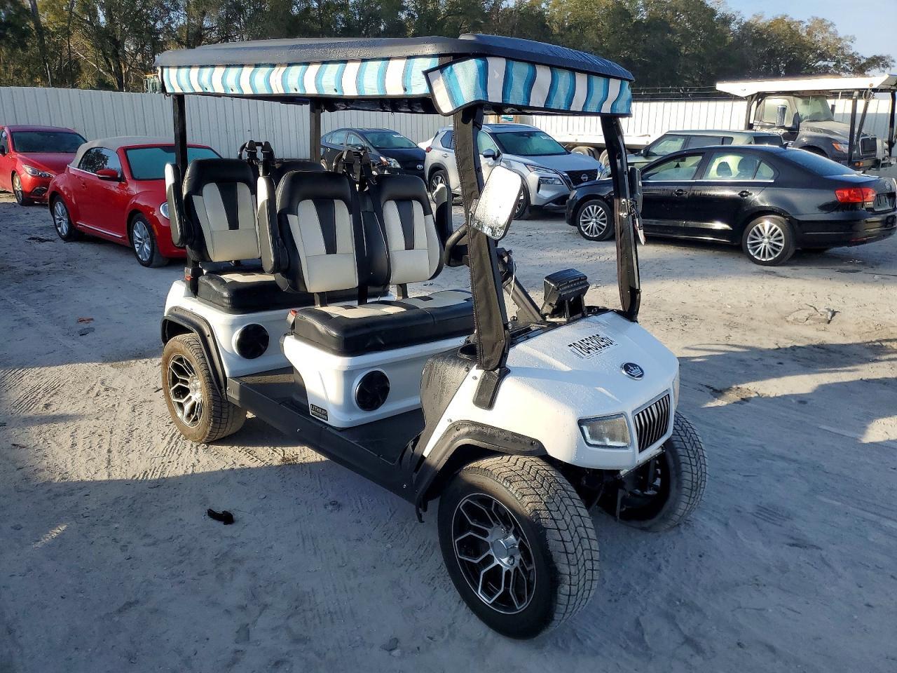 2025 Evolution Golf Cart