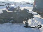 2023 Skidoo 2023 SKI-DOO Renegade Adrenaline