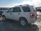 2010 Ford Escape Hybrid