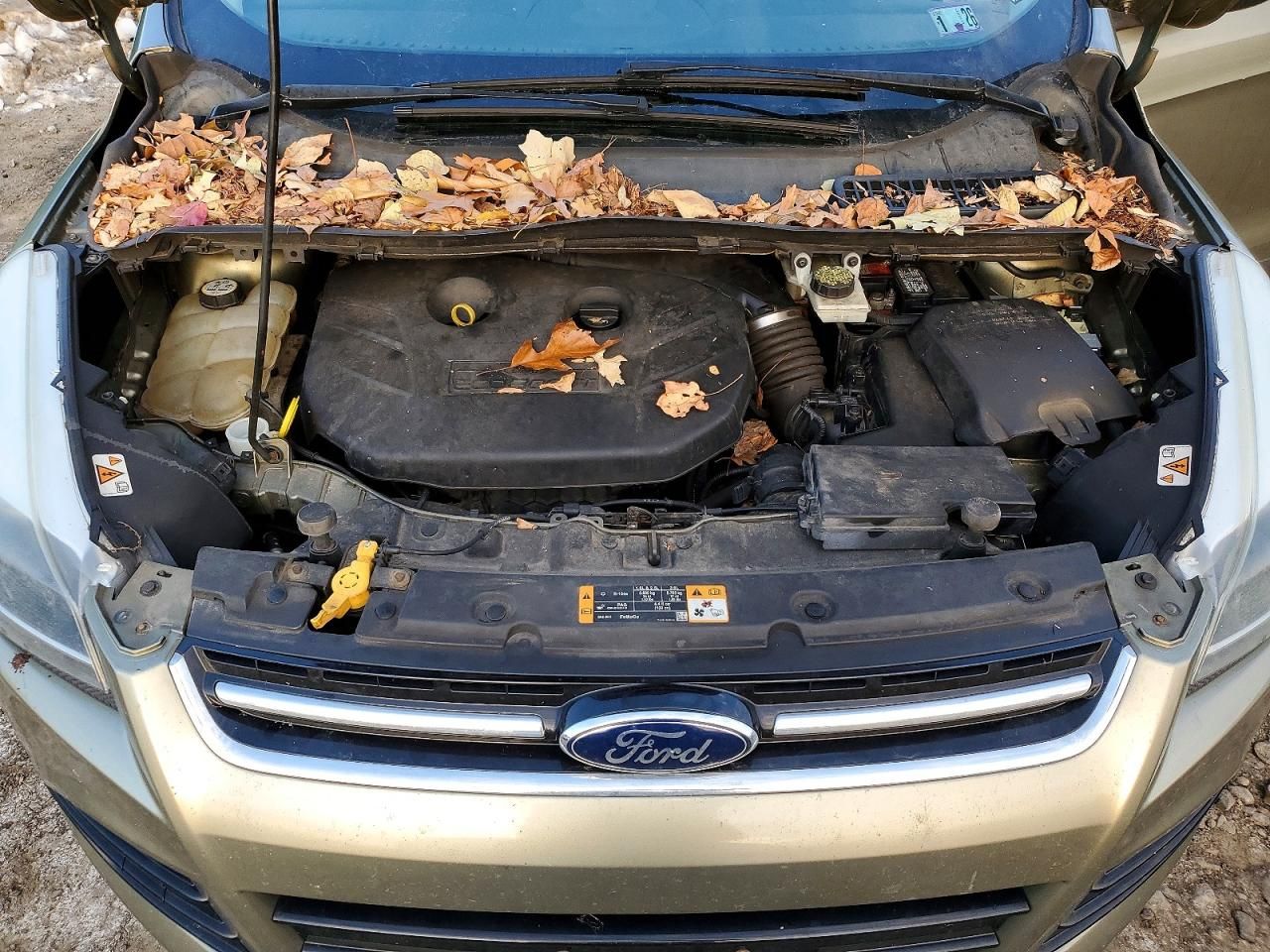 2013 Ford Escape Titanium