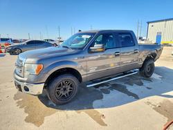 2013 Ford F150 Supercrew for sale in Haslet, TX