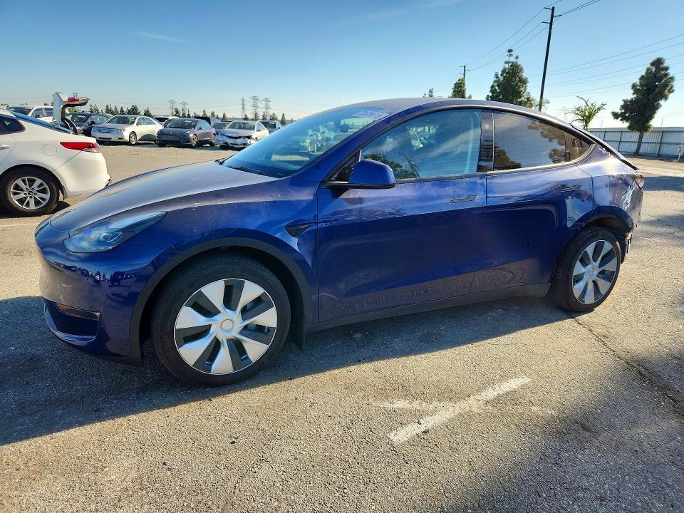 2024 Tesla Model y