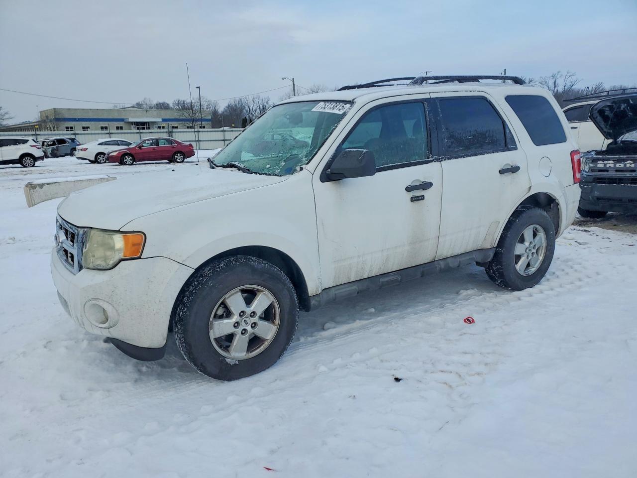 2010 Ford Escape xlt
