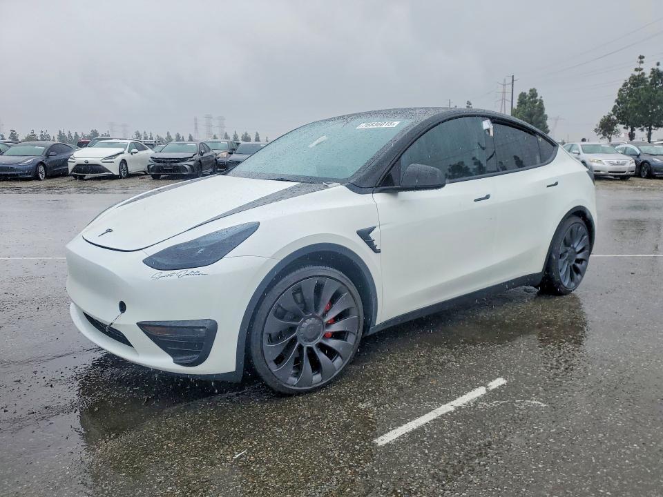 2025 Tesla Model y