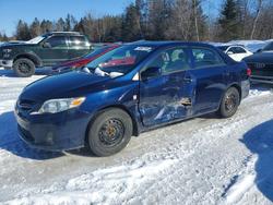Toyota Corolla salvage cars for sale: 2011 Toyota Corolla Base