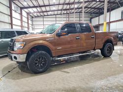 2011 Ford F150 Supercrew en venta en Lawrenceburg, KY