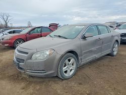 2011 Chevrolet Malibu 1LT en venta en Des Moines, IA