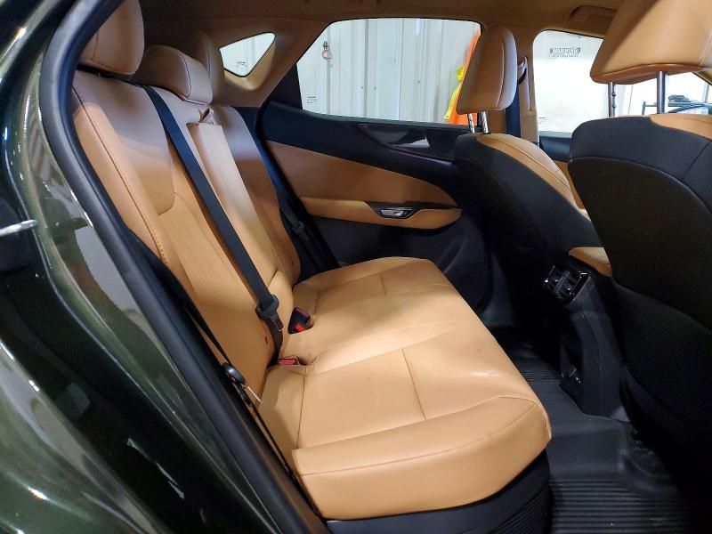 2025 Lexus Nx 350h Base