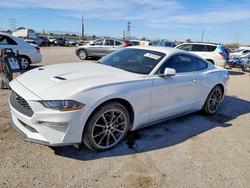 Ford salvage cars for sale: 2019 Ford Mustang