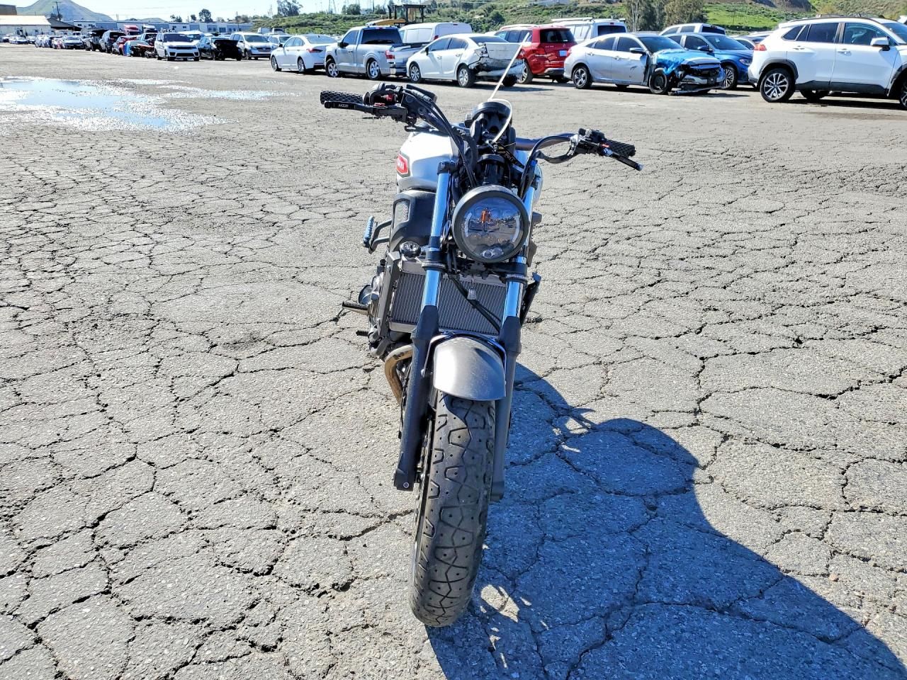 2019 Yamaha XSR700 C