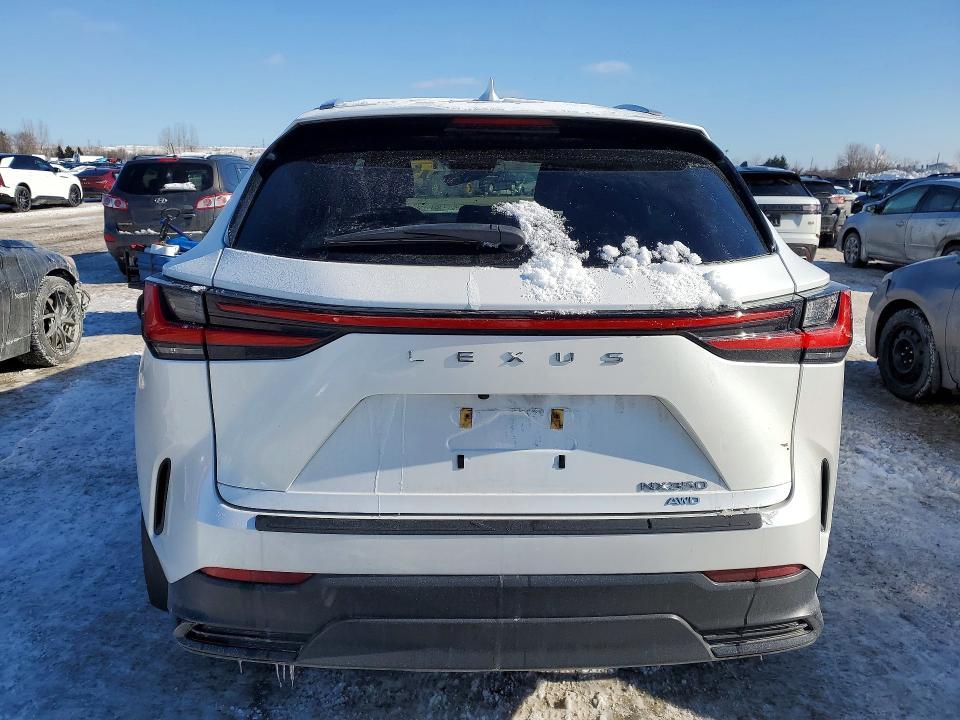 2024 Lexus Nx 350 Premium
