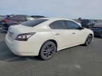 2014 Nissan Maxima