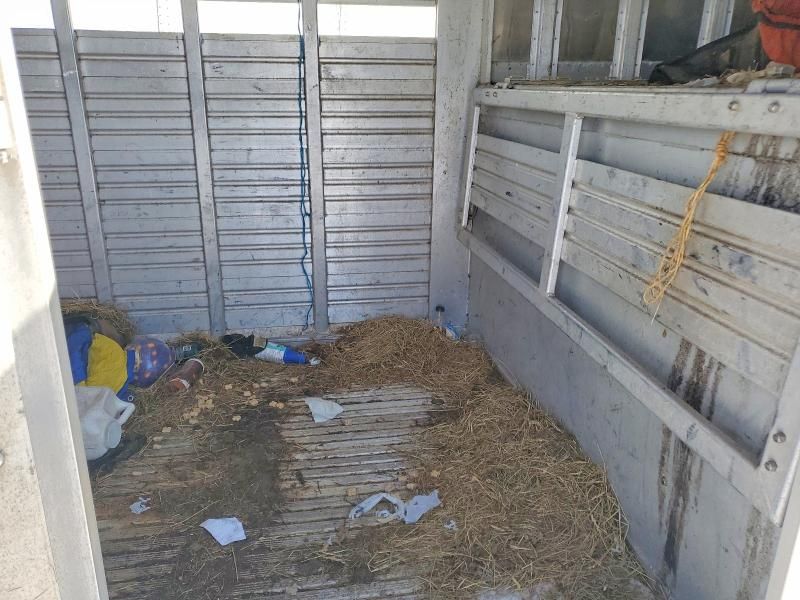 1998 Featherlite Mfg Inc 1998 Featherlite Horse Trailer