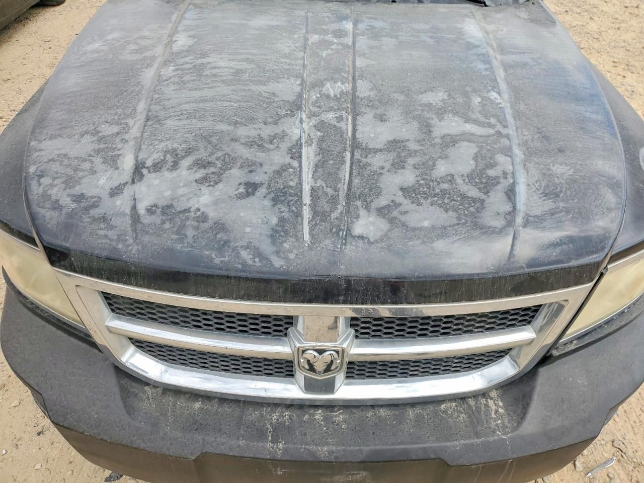 2010 Dodge Dakota SXT