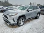 2025 Toyota Rav4 xse