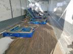 2022 Wabash 2022 Wabash Dvcvhpc DRY Van Trailer
