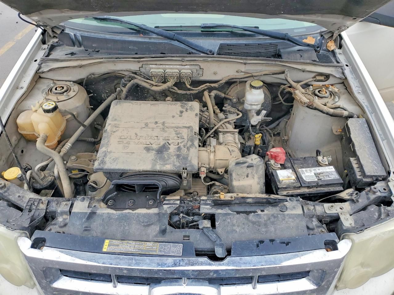 2011 Ford Escape xlt