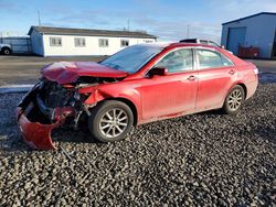 Toyota Camry salvage cars for sale: 2011 Toyota Camry Hybrid Base