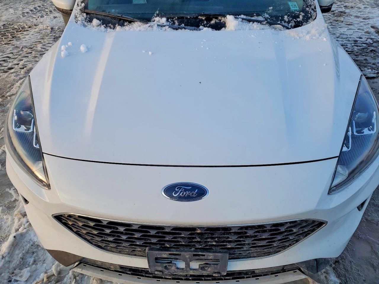 2020 Ford Escape se