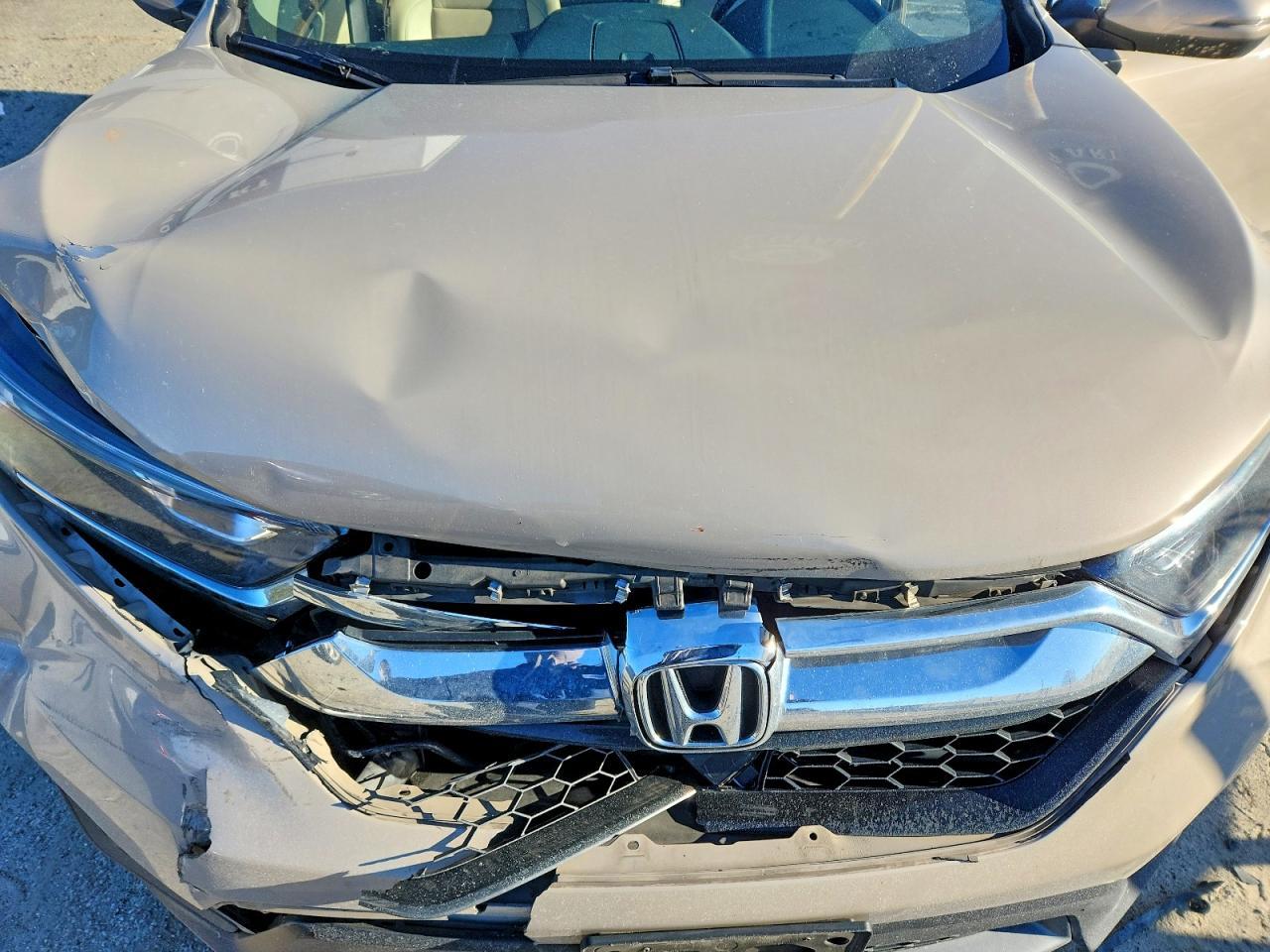 2019 Honda Cr-v exl
