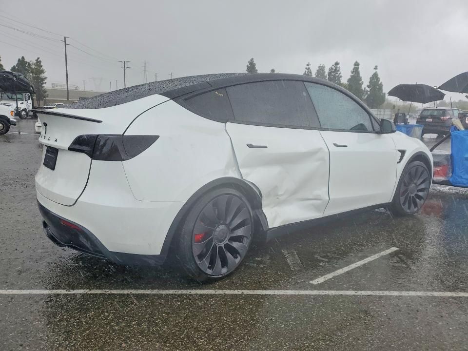 2025 Tesla Model y