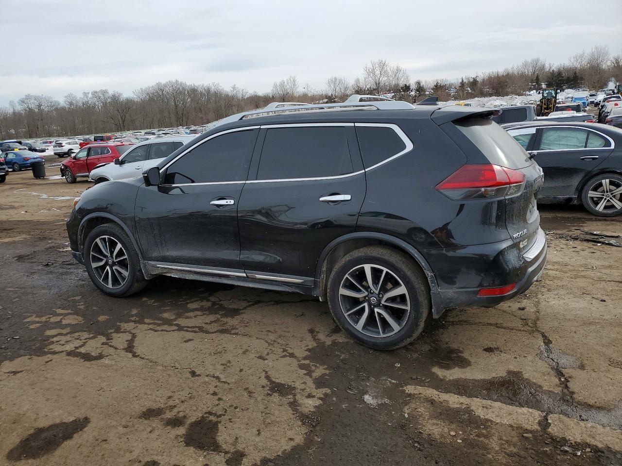 2019 Niss Rogue sl