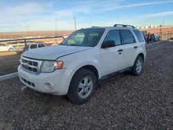 2012 Ford Escape xlt for sale in Albuquerque, NM