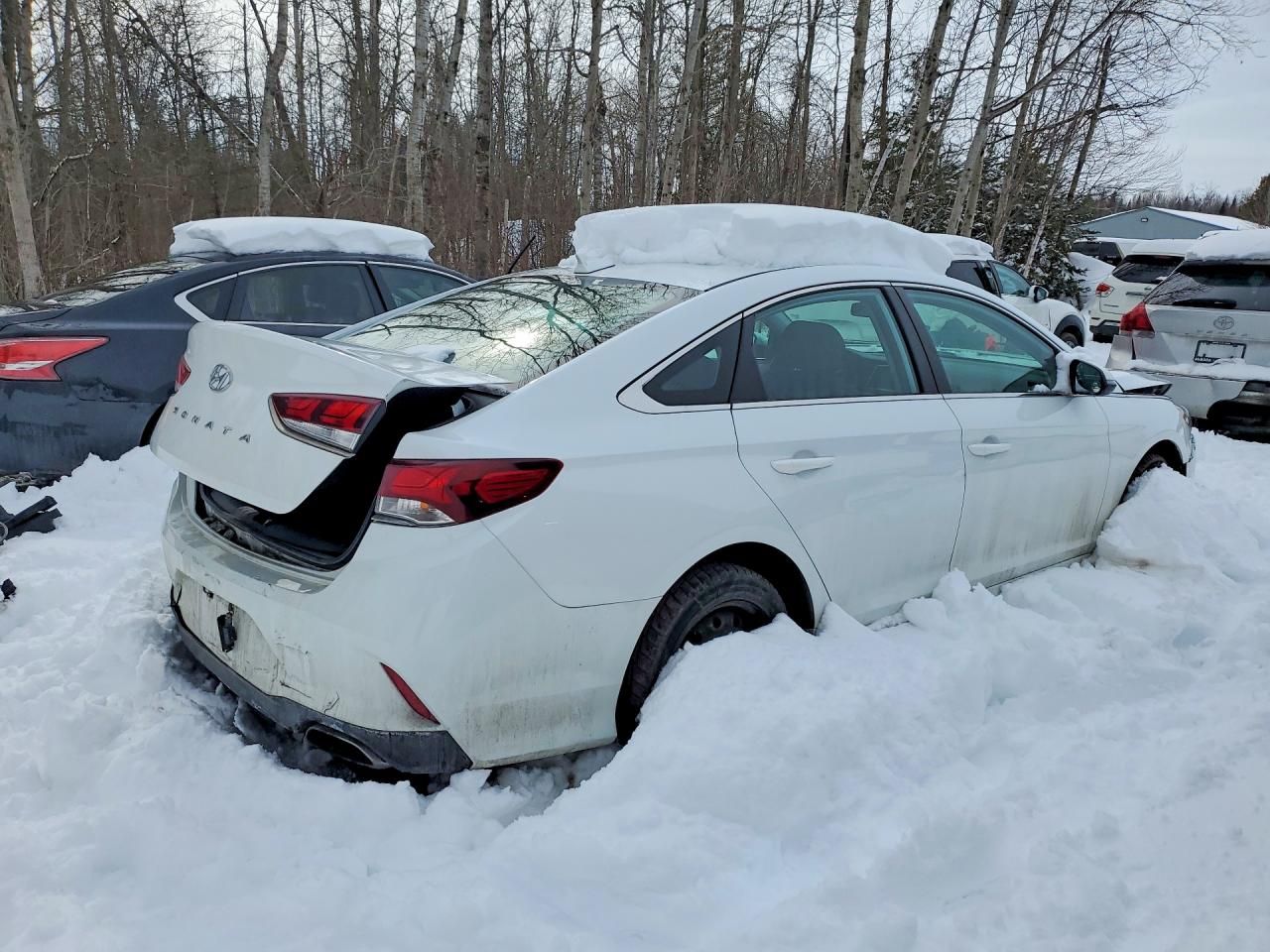 2019 Hyundai Sonata se