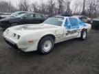 1981 Pontiac Firebird se