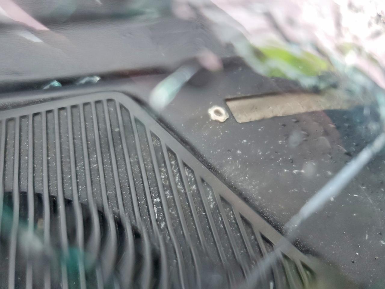 1981 Pontiac Firebird se