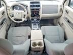 2011 Ford Escape xls